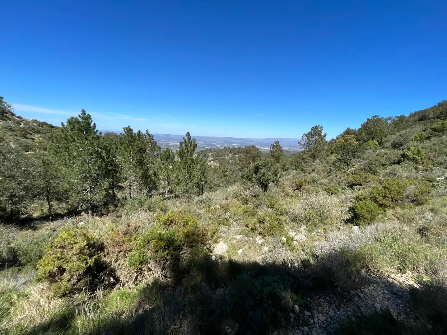 Terrain rustique à vendre à Tivissa, imagen 5