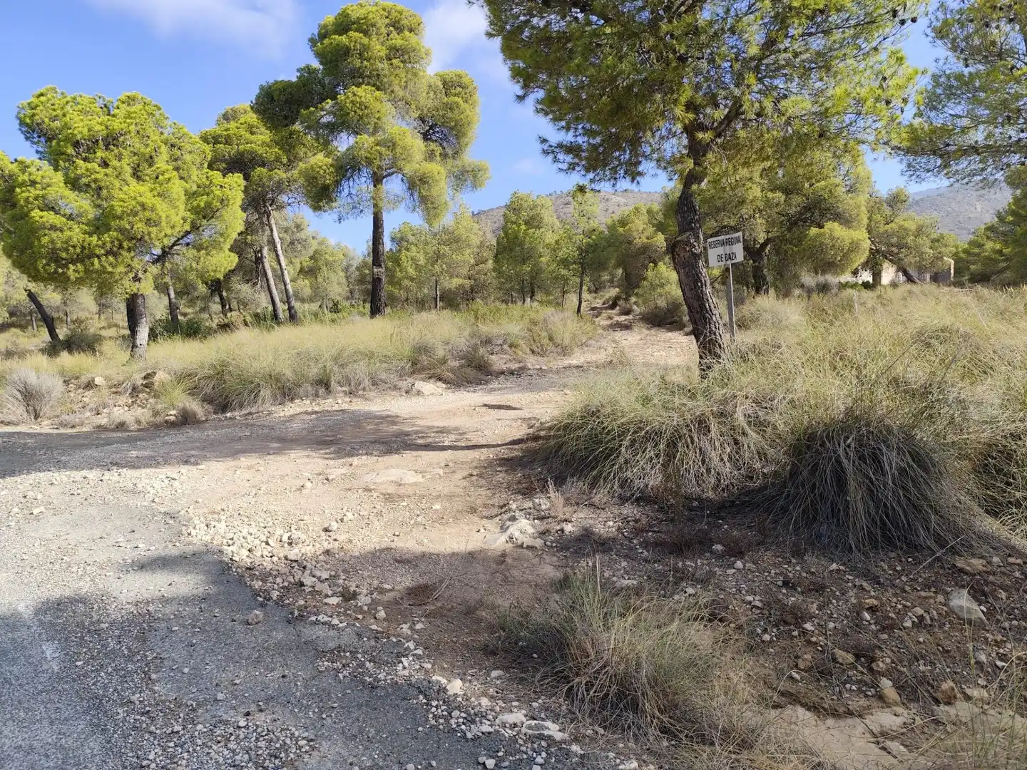 Terreno en venta en Totana