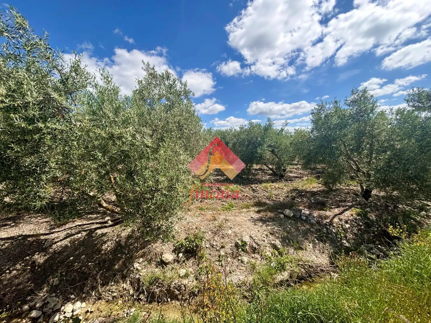 Country homes for sale in Ronda  with Heating, Swimming Pool and Furnished