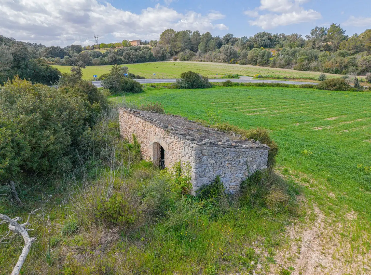 Terreny rústic en venda a Llubí, imagen 13