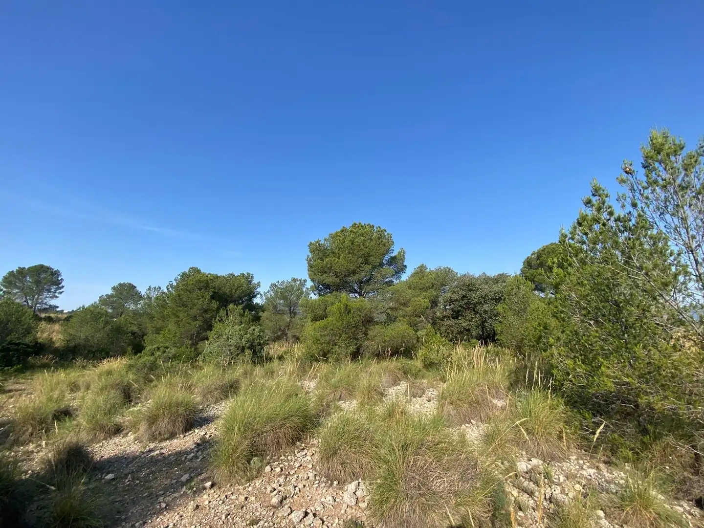 Villa à vendre à Moratalla, imagen 90