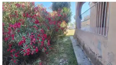 Chalet en venta en C/ Virgen de Gracia, imagen 5