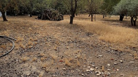 Photo 2 of Houses for sale in Torreperogil, Jaén