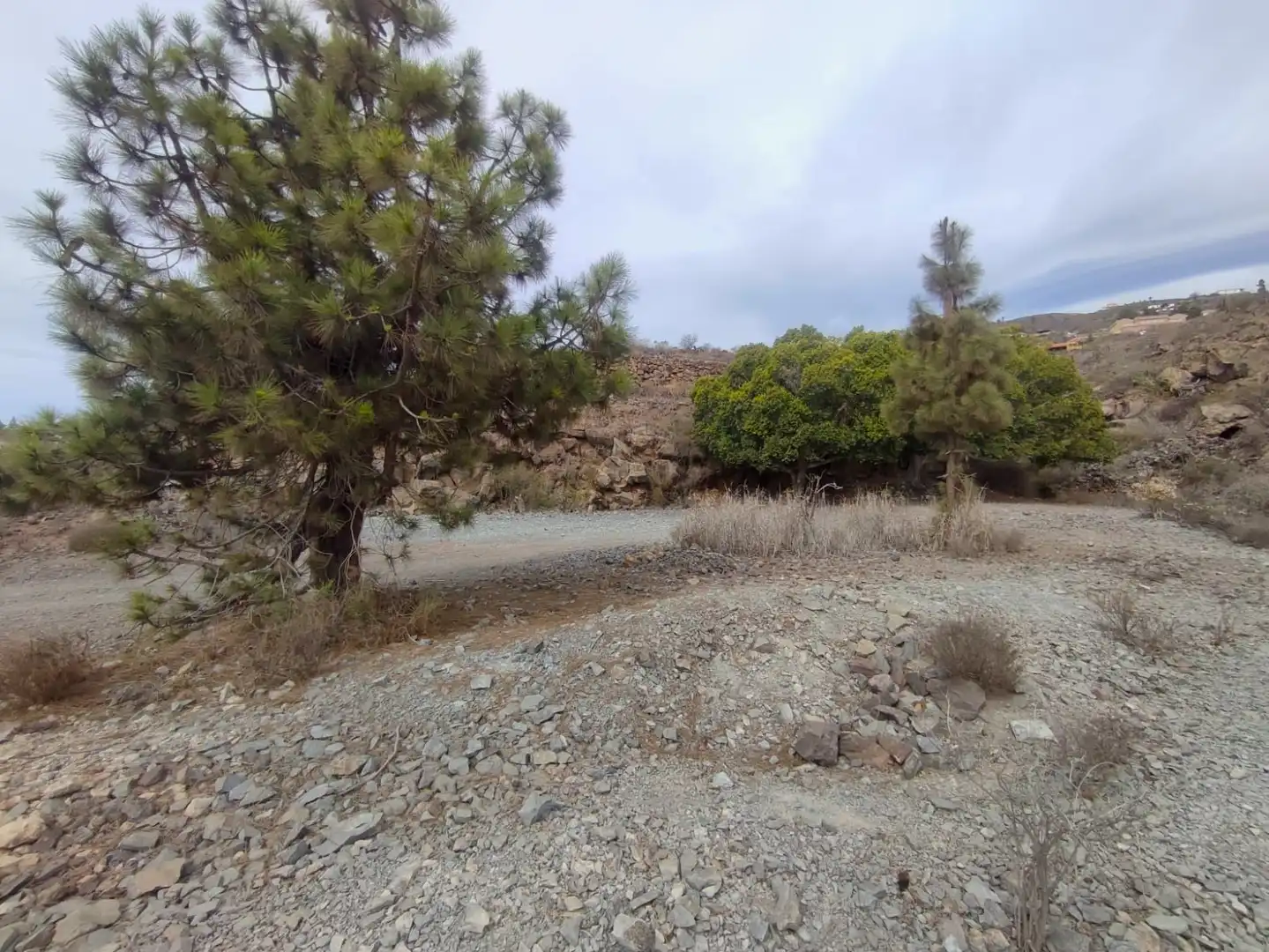 Terreno rústico en venta en Vilaflor de Chasna, imagen 10