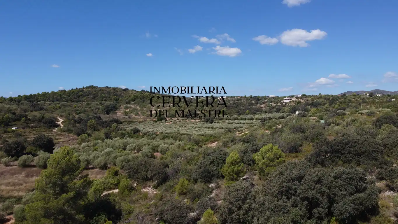 Terreno rustico in vendita a Cervera del Maestre, imagen 23