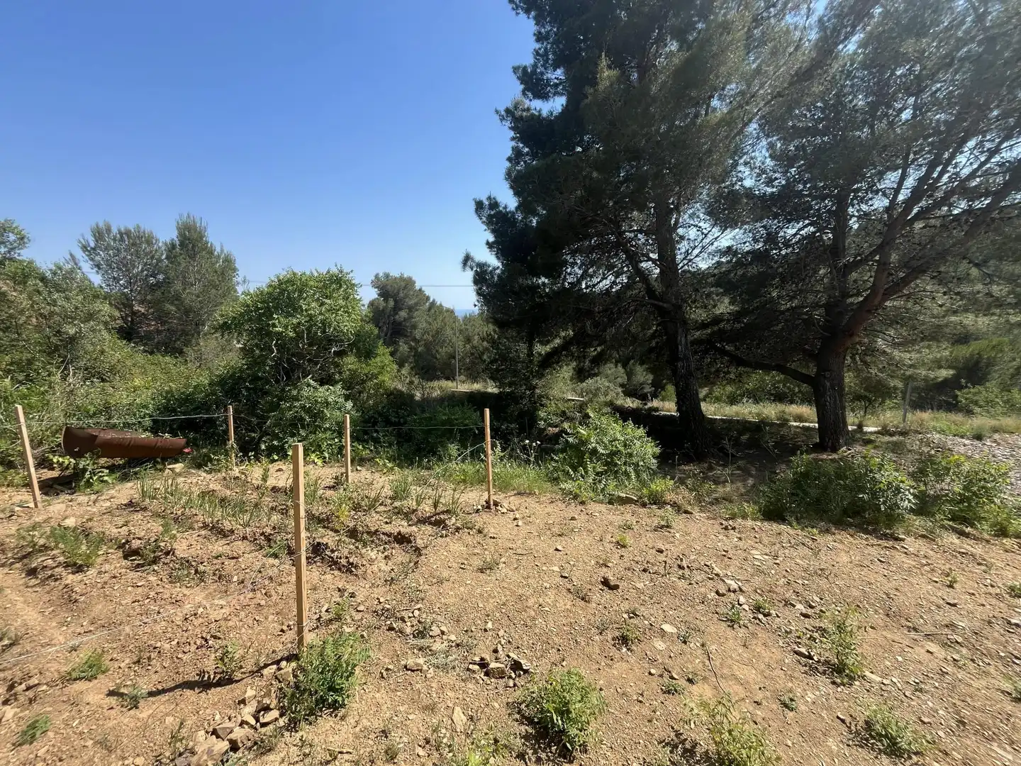 Terreno residencial en venta en Vilaplana, imagen 10