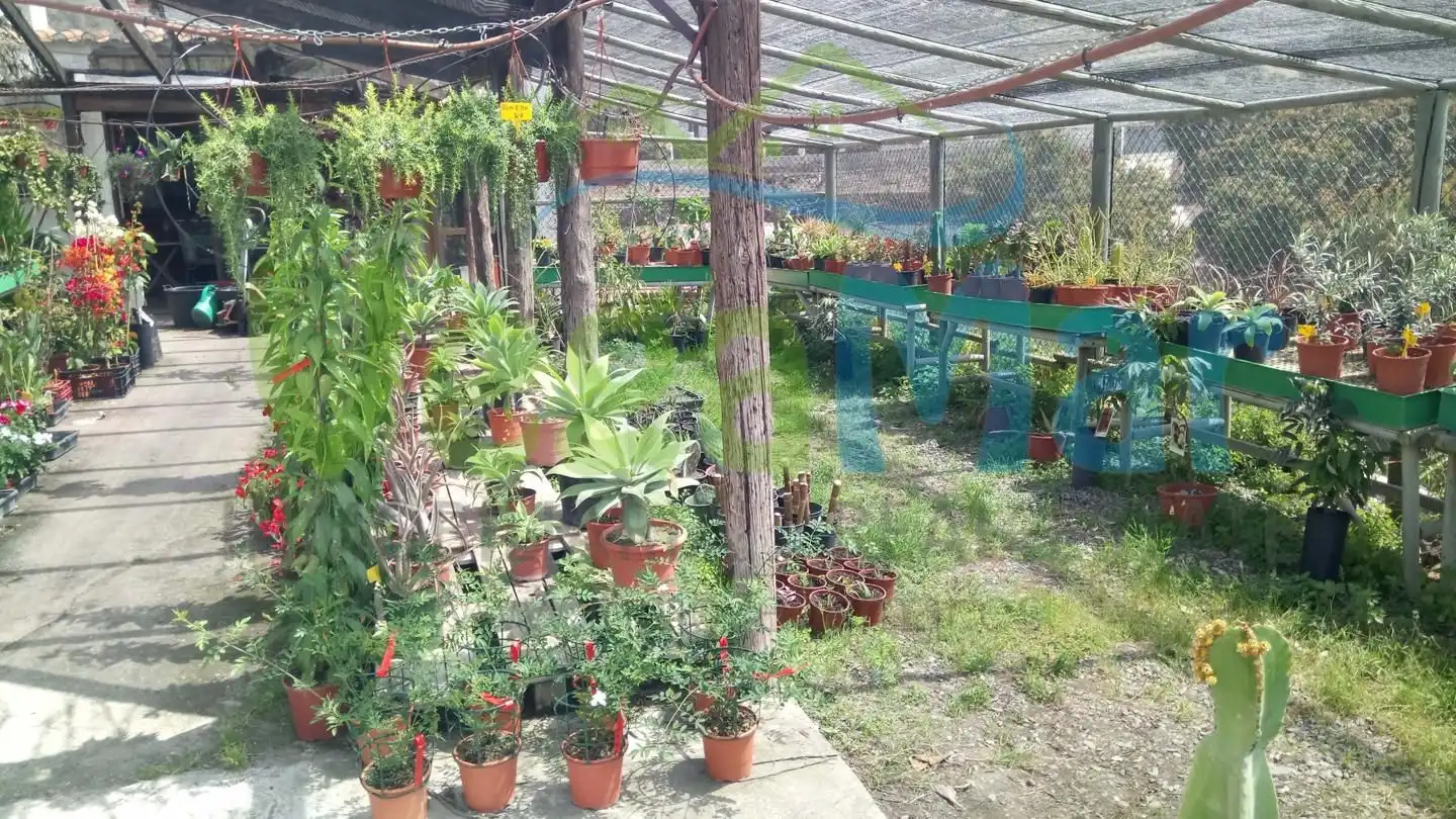 Business premises for sale in Velilla - Velilla Taramay, imagen 37