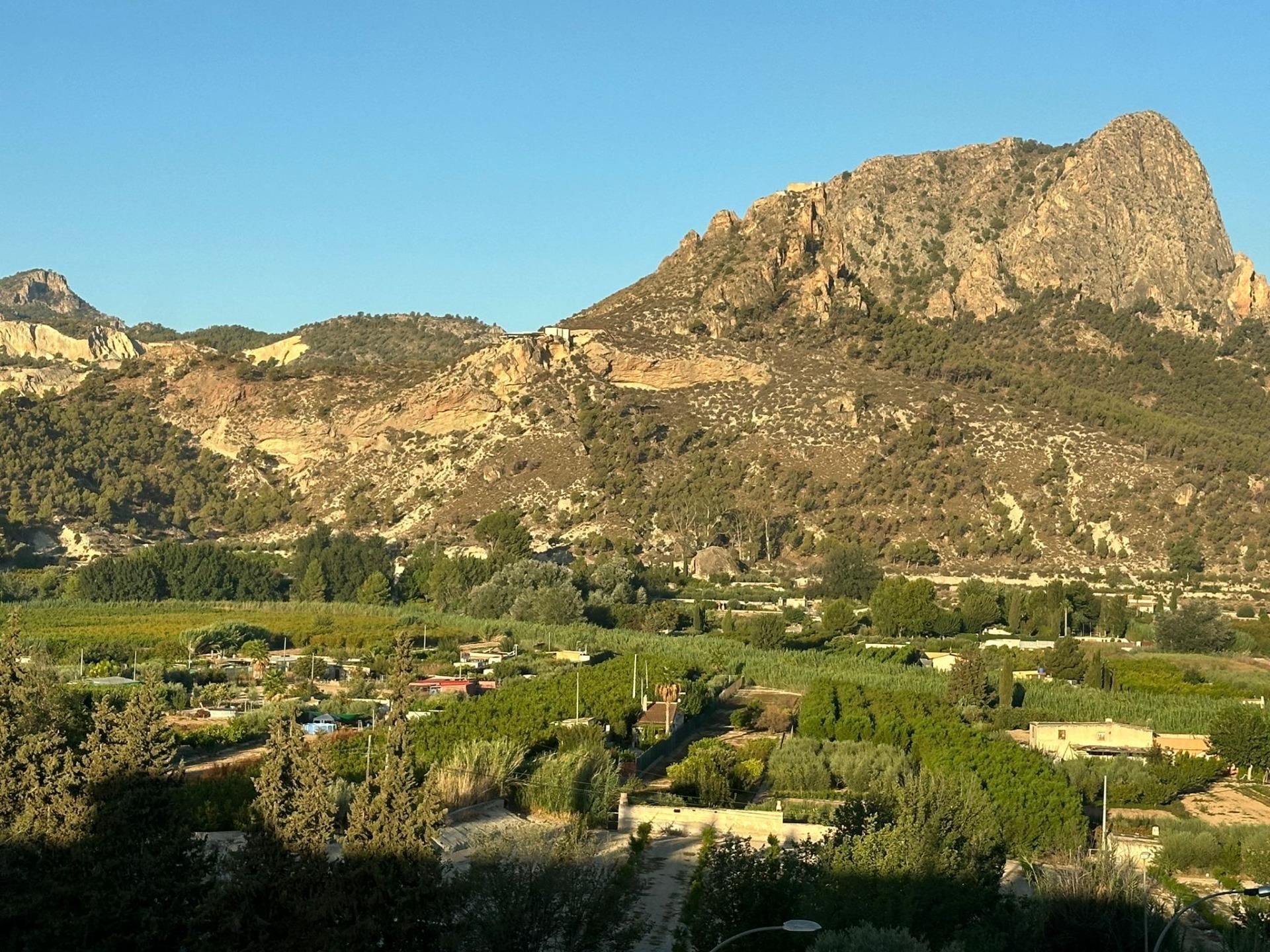 Vista exterior de Finca rústica en venda en Cieza amb Jardí privat