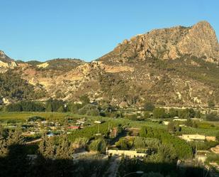 Vista exterior de Finca rústica en venda en Cieza amb Jardí privat