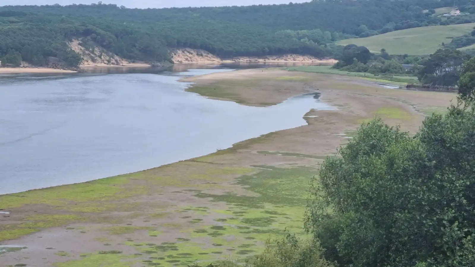Jardí de Casa o xalet en venda en Miengo amb Calefacció, Jardí privat i Moblat