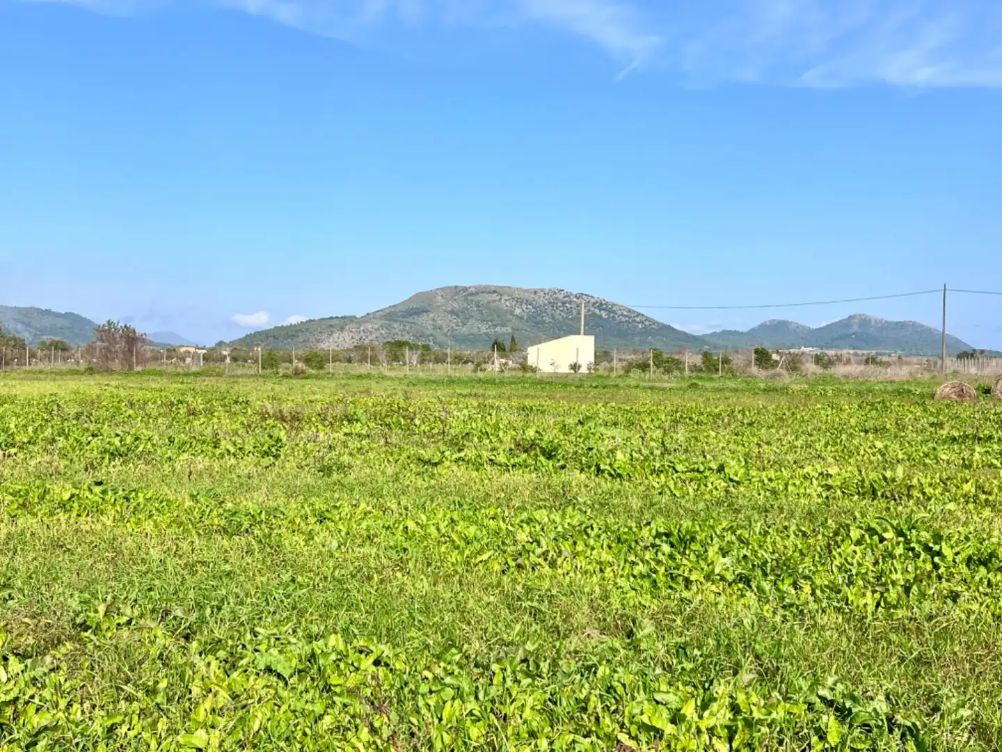 Finca rústica en venta en Sa Pobla