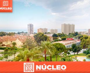 Vista exterior de Apartament en venda en Alicante / Alacant amb Aire condicionat, Forn i Balcó