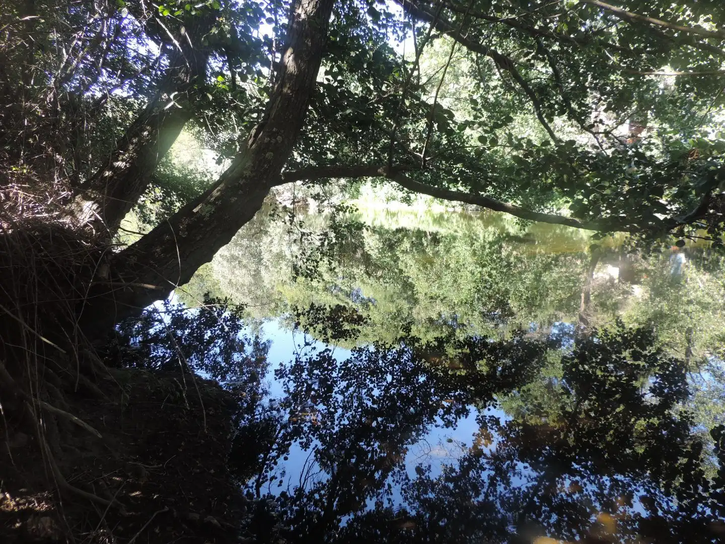 Exterior view of Land for sale in Burgohondo