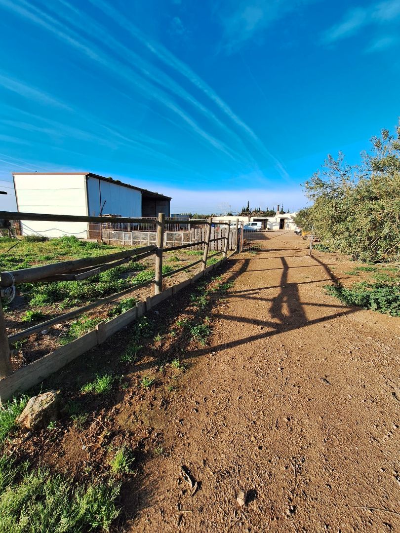 Exterior view of Land for sale in Santa Oliva