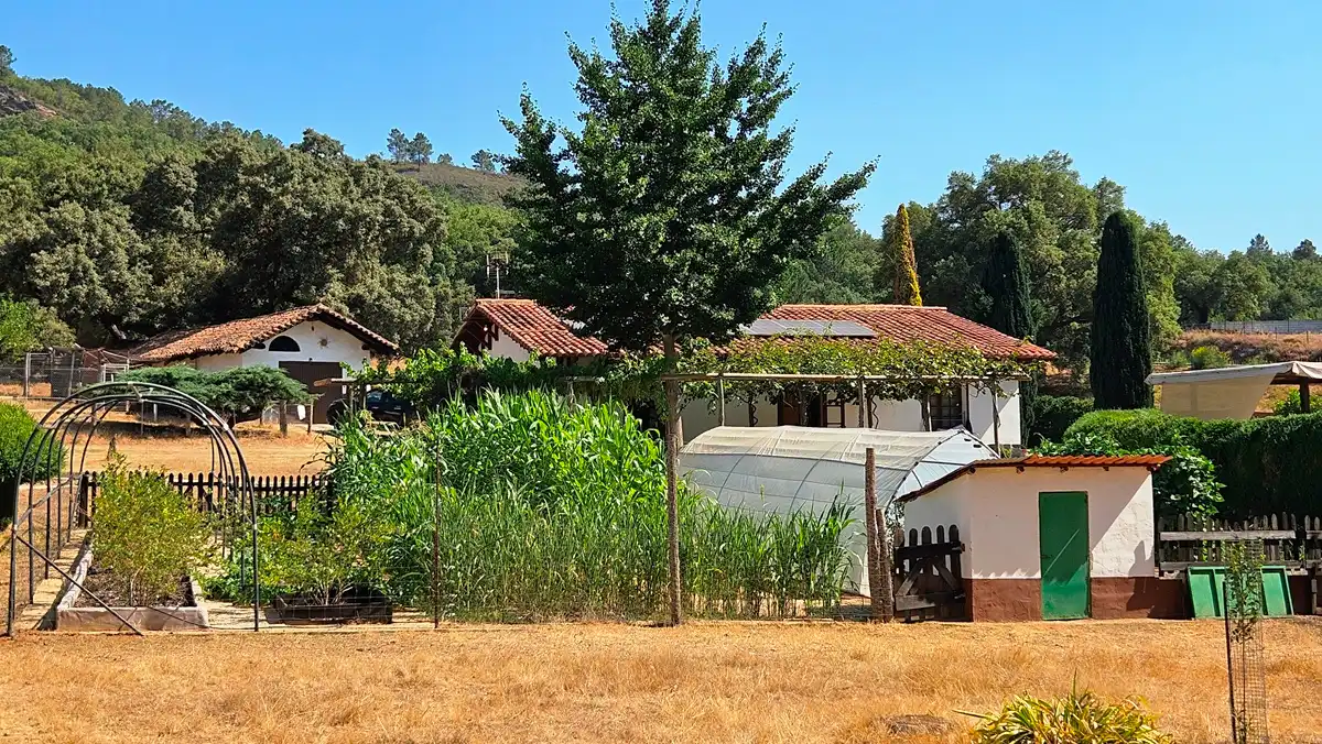 Jardín de Casa o chalet en venta en Cortelazor con Jardín privado, Terraza y Trastero