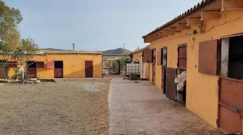 Foto 4 de Finca rústica de alquiler en Huércal-Overa, Almería