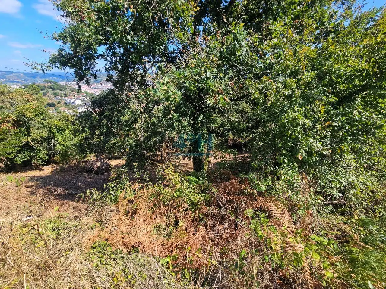 Terreni e lotti in vendita a Barbadás, imagen 2