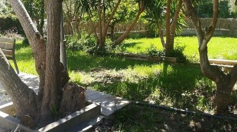 Casa con piscina en Olivella , imagen 4