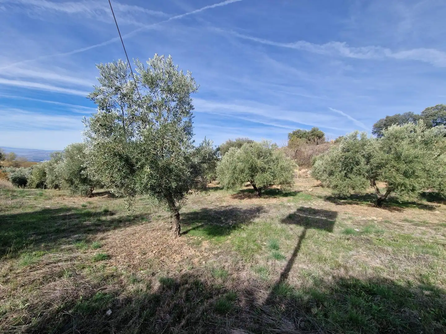 Maison rustique avec jardin à vendre à Cogollos de la Vega, imagen 43