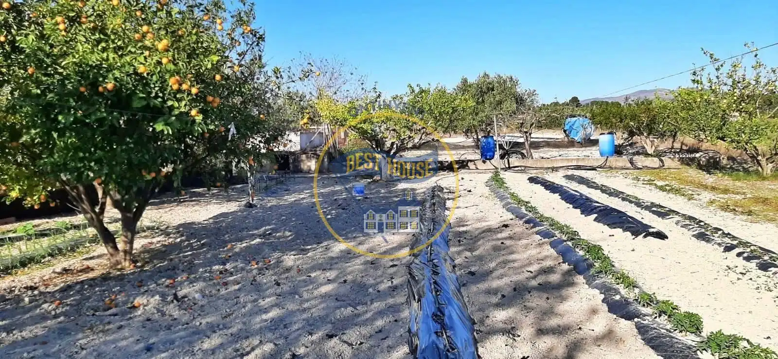 Finca rústica en venda en Albaida amb Traster i Piscina
