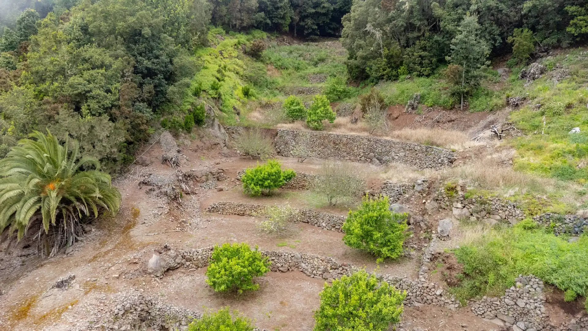 Finca rústica en venda a Hermigua