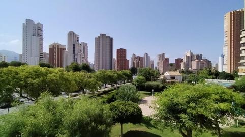 Foto 2 de Apartament en venda a Juzgados - Plaza de Toros, Benidorm