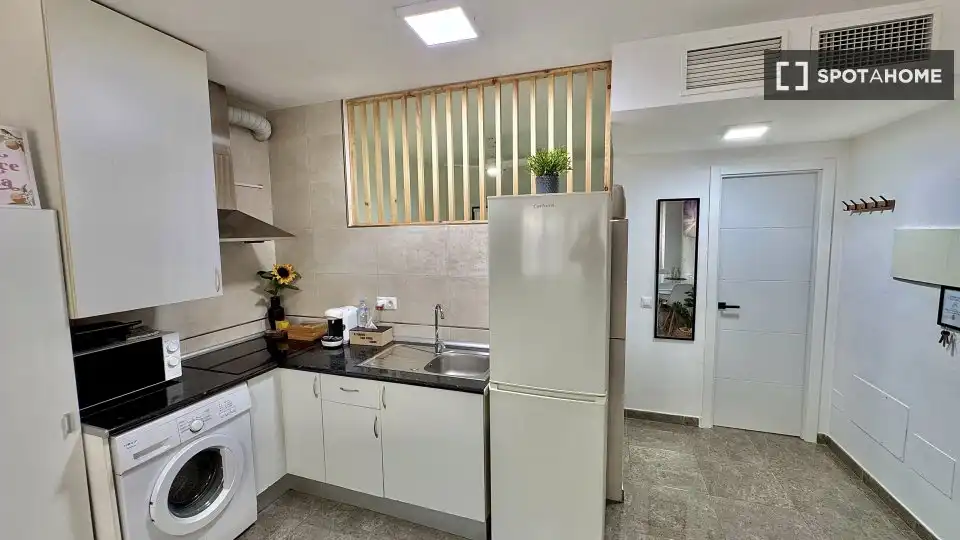 Kitchen of Study for share in Málaga  with Air Conditioner, Terrace and Furnished