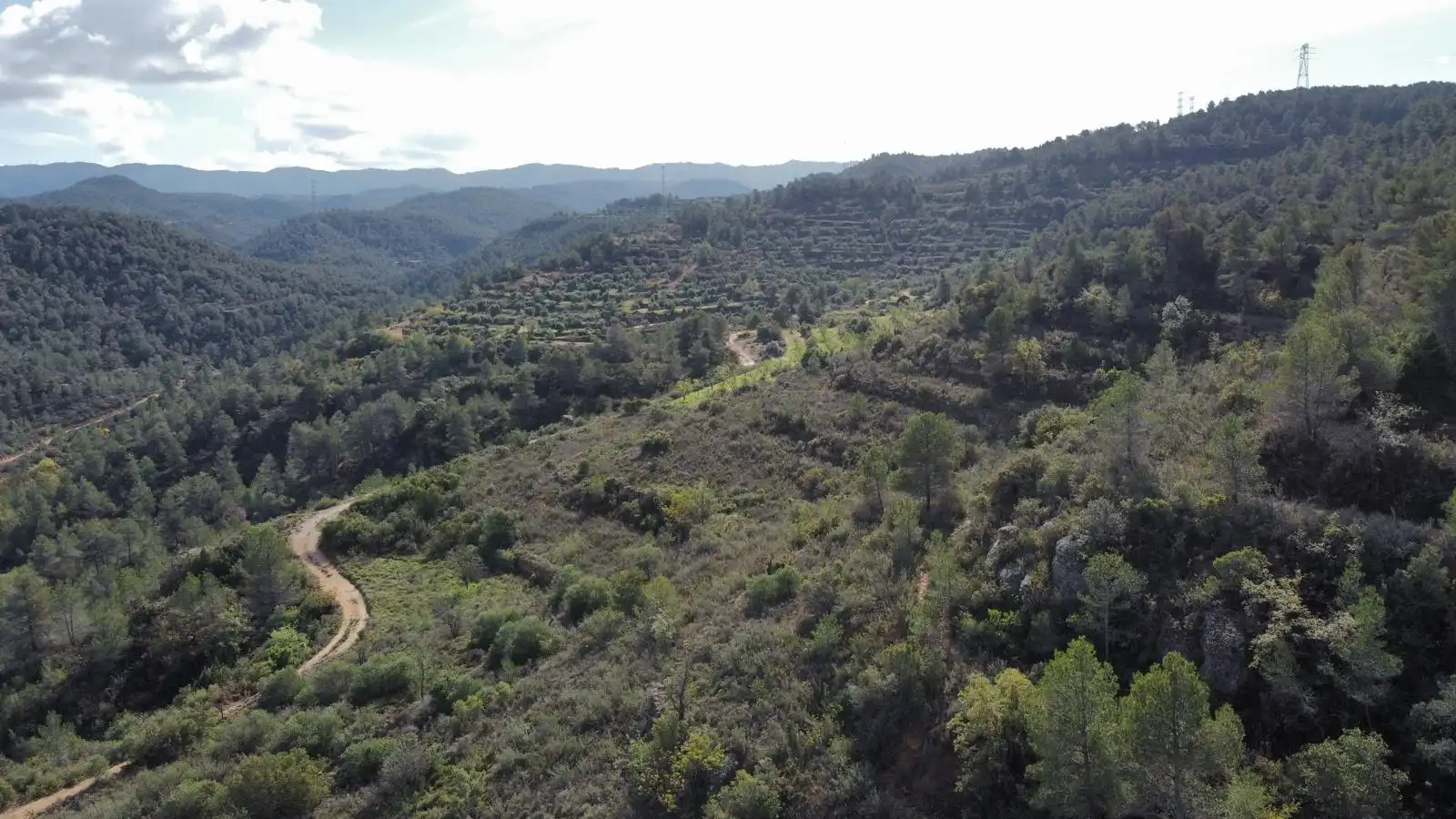 Terreno rustico in vendita a Cervià de Les Garrigues, imagen 34