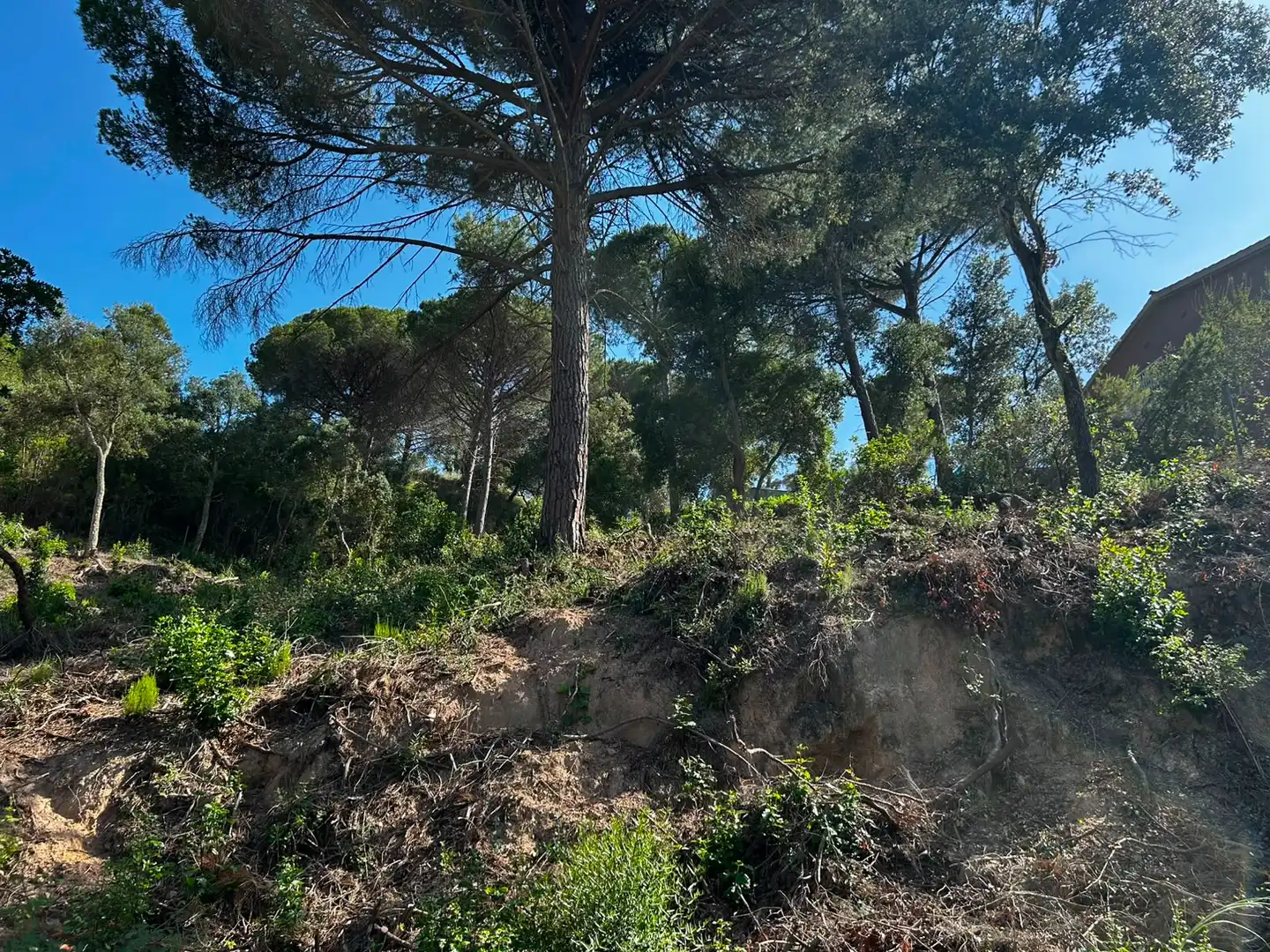 Wohnbaugrundstück zum Verkauf in Lloret Residencial - Montlloret, imagen 6