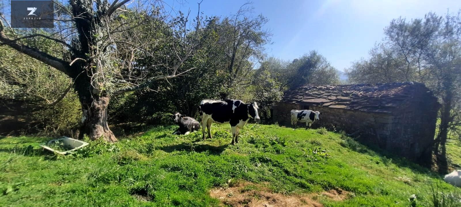 Exterior view of House or chalet for sale in San Roque de Riomiera