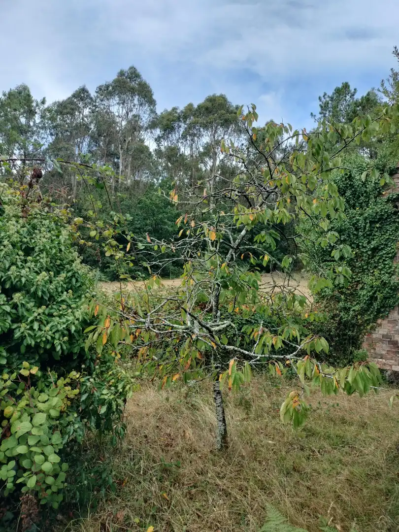 Casa in vendita a Val do Dubra, imagen 4