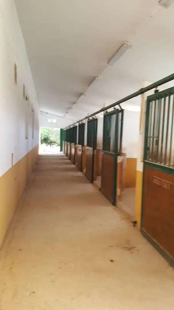 Casa rústica amb piscina en venda a N/A, imagen 39