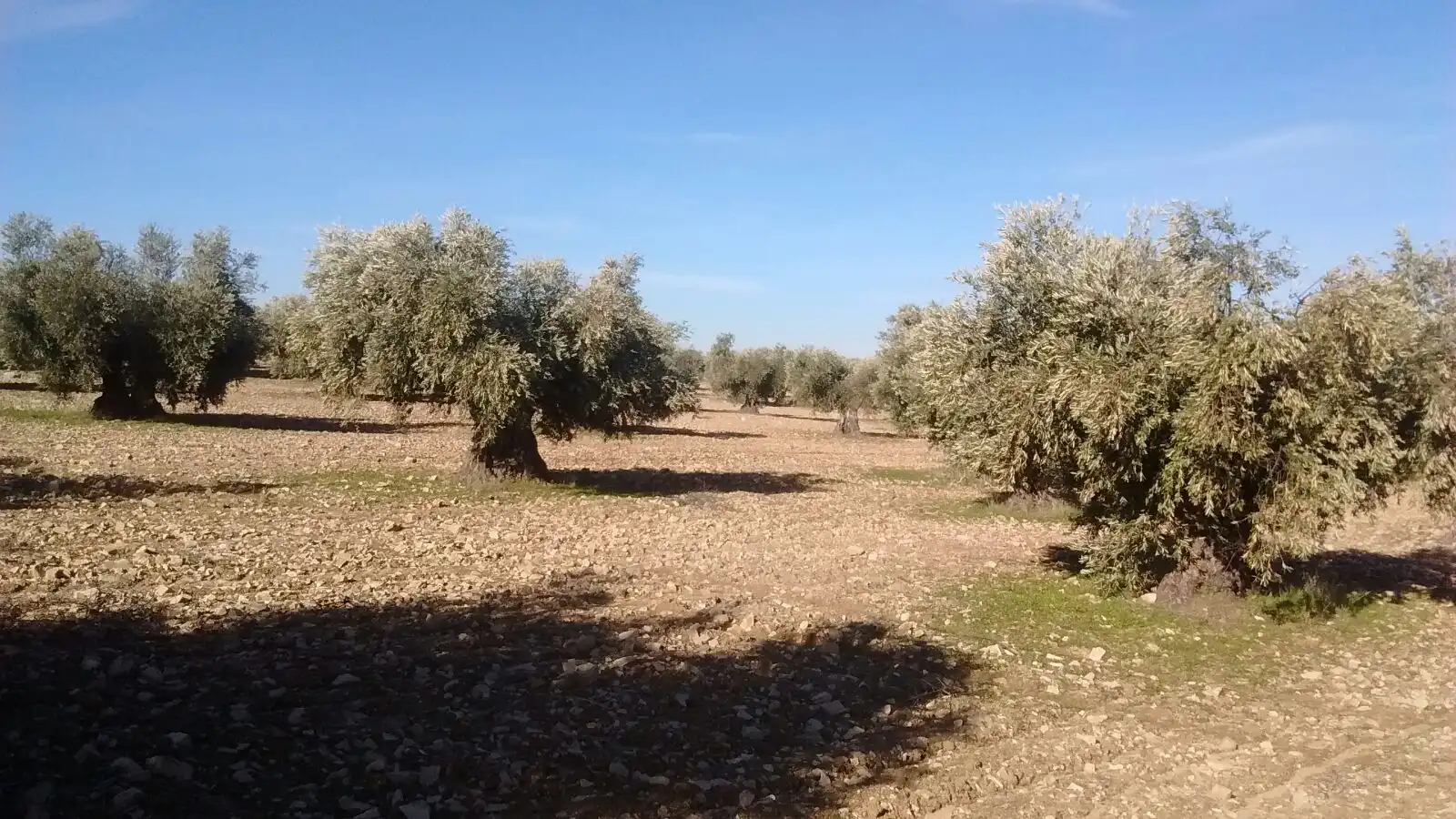 Terreni e lotti in vendita a Villaminaya, imagen 7