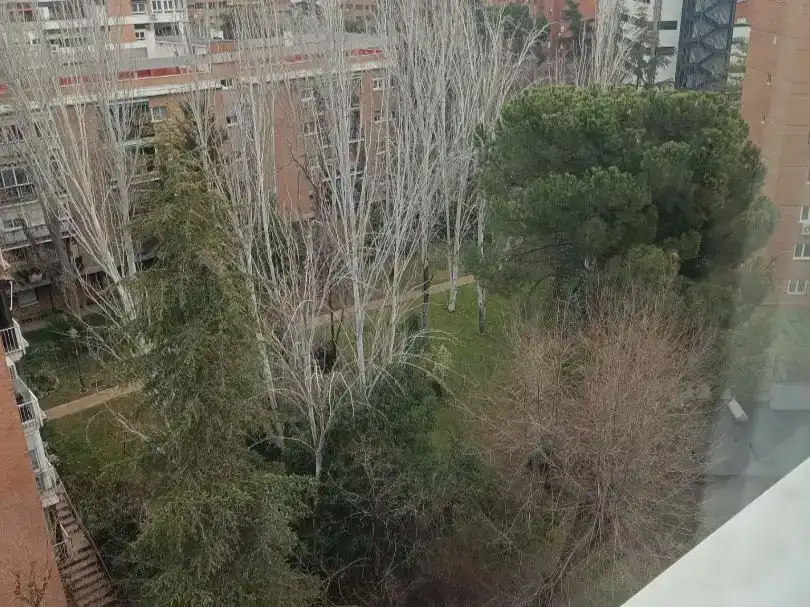 Pis en venda en  Madrid Capital amb Terrassa i Balcó