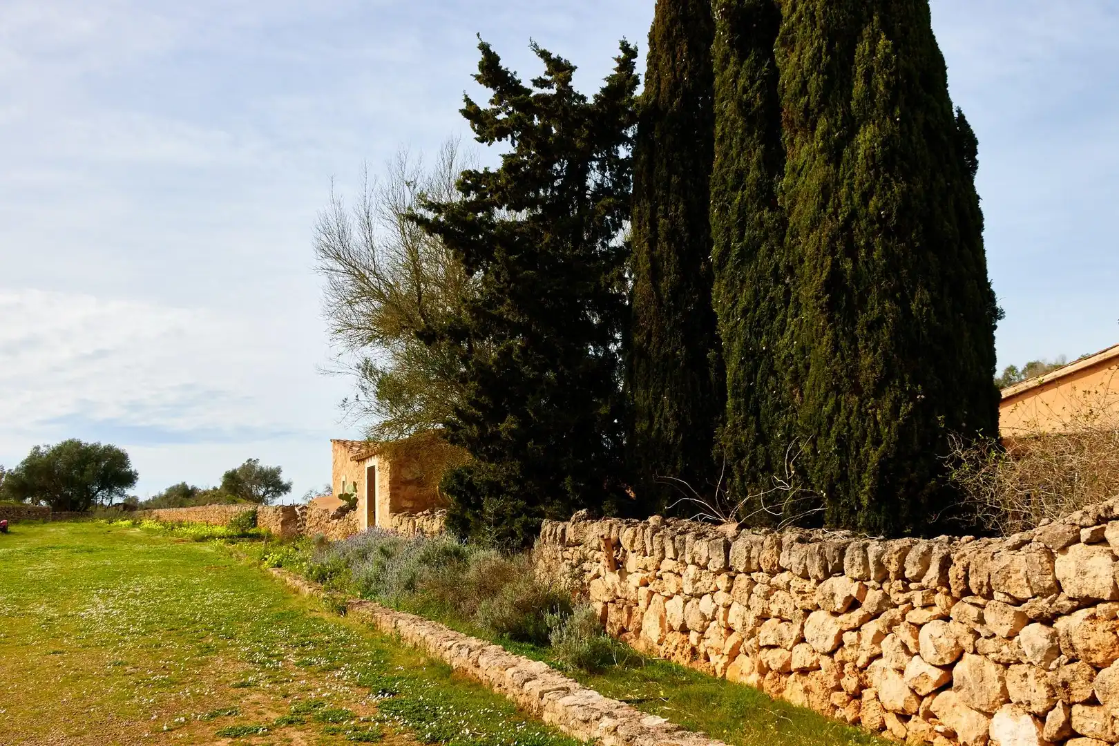 Casa rustica in vendita a Algaida, imagen 48