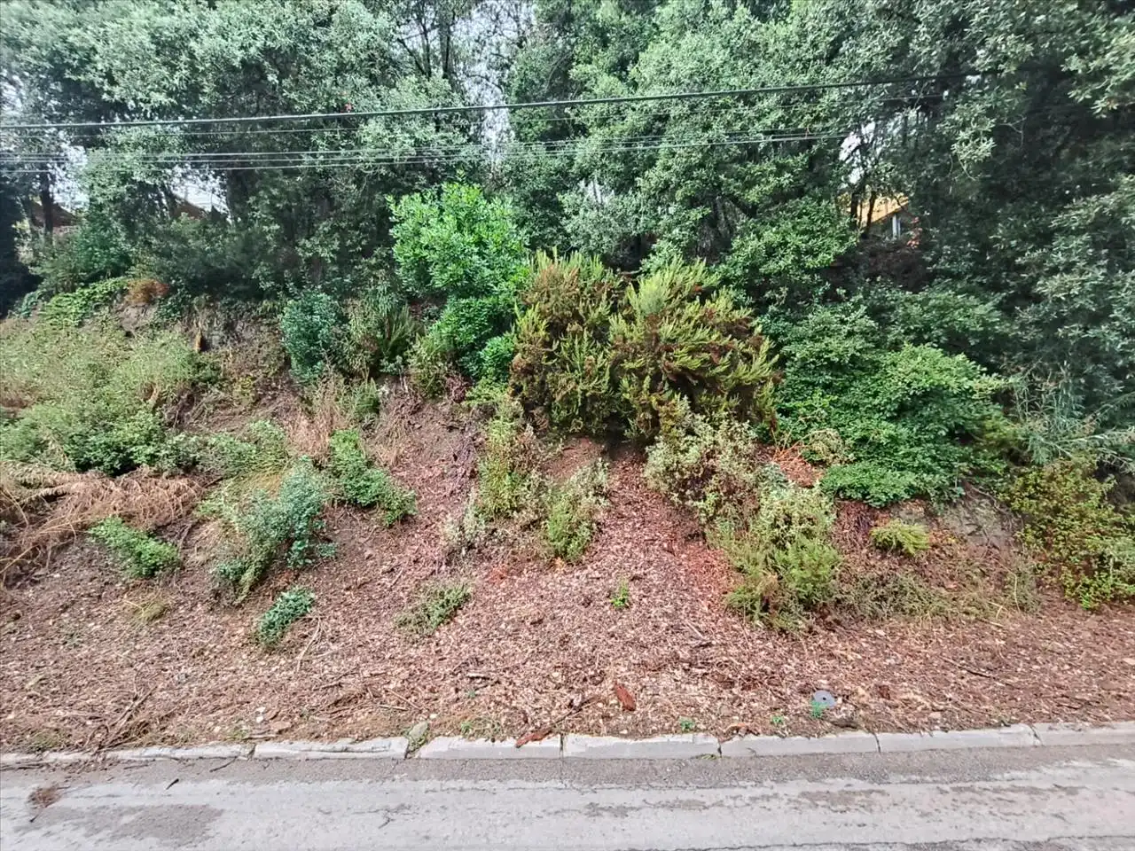 Wohnbaugrundstück zum Verkauf in Carrer Serra de Sant Feliu, 44, 08211 Castellar del Vallès, Barcelona, Spain 44, imagen 4