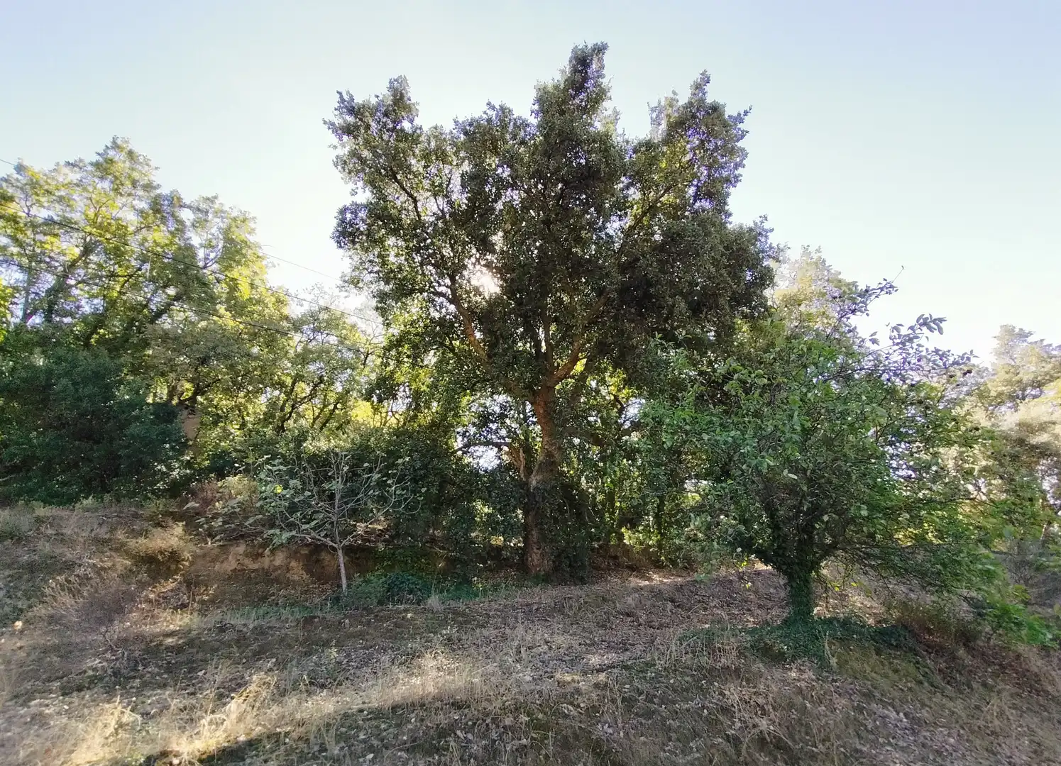 Residencial en venda en Pasarón de la Vera