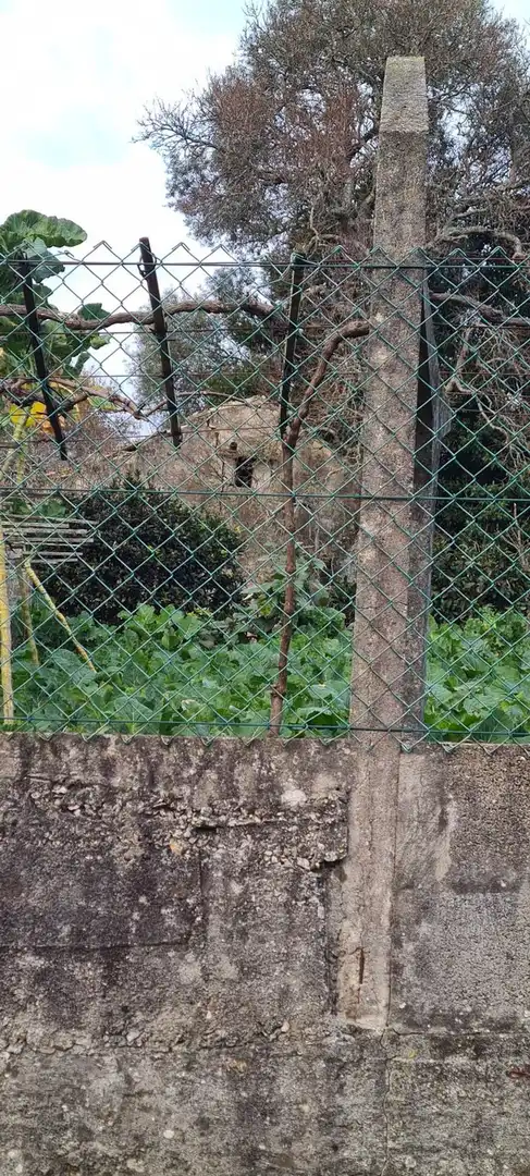 Grundstücke und Bauplätze zum Verkauf in Cabral - Candeán, imagen 16