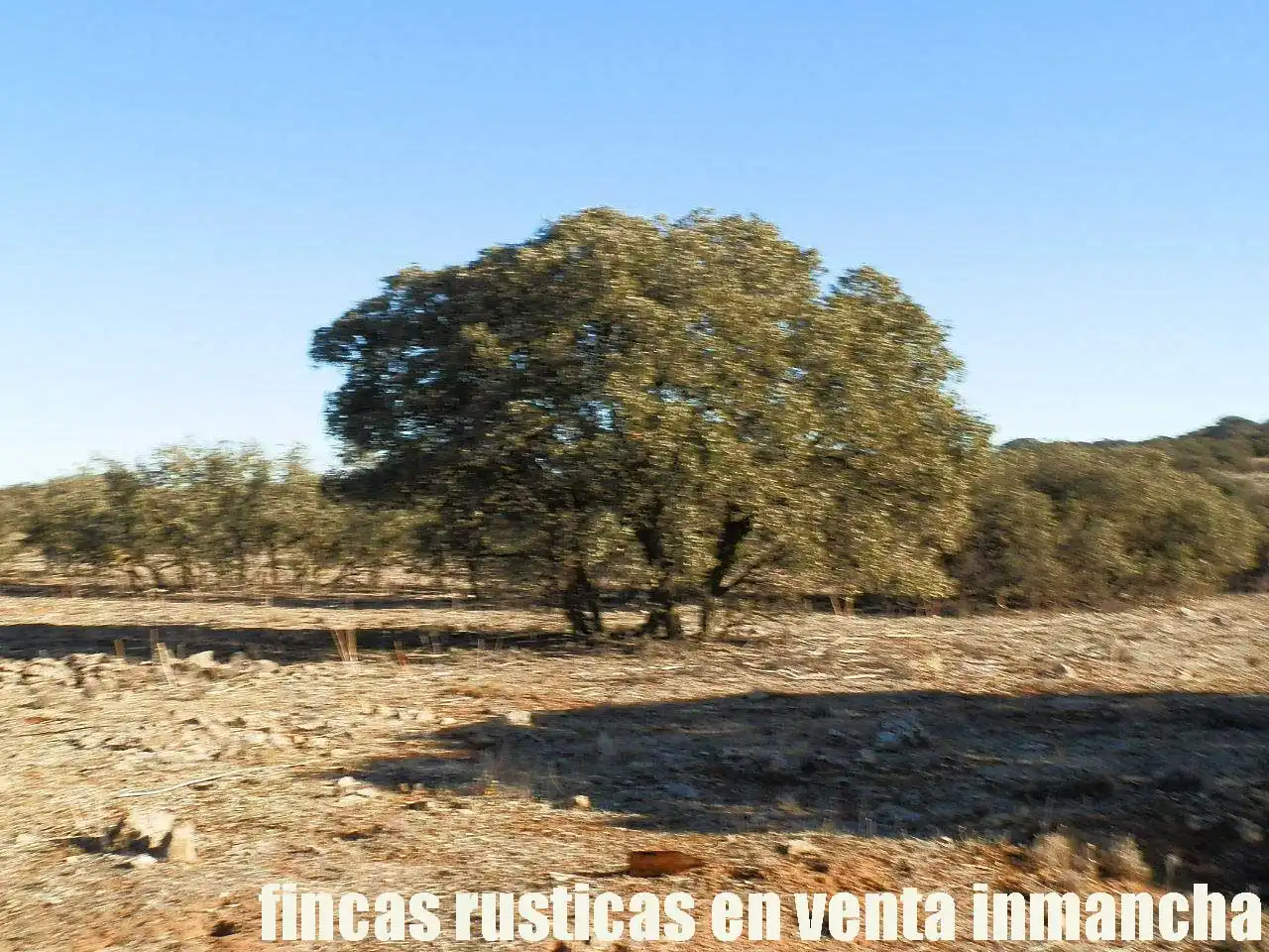 Terreni e lotti in vendita a Quintanar de la Orden, imagen 5