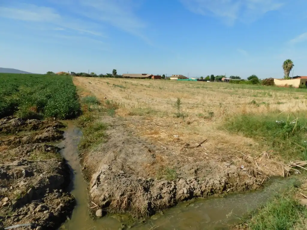 Terrain rustique à vendre à Don Benito, imagen 2