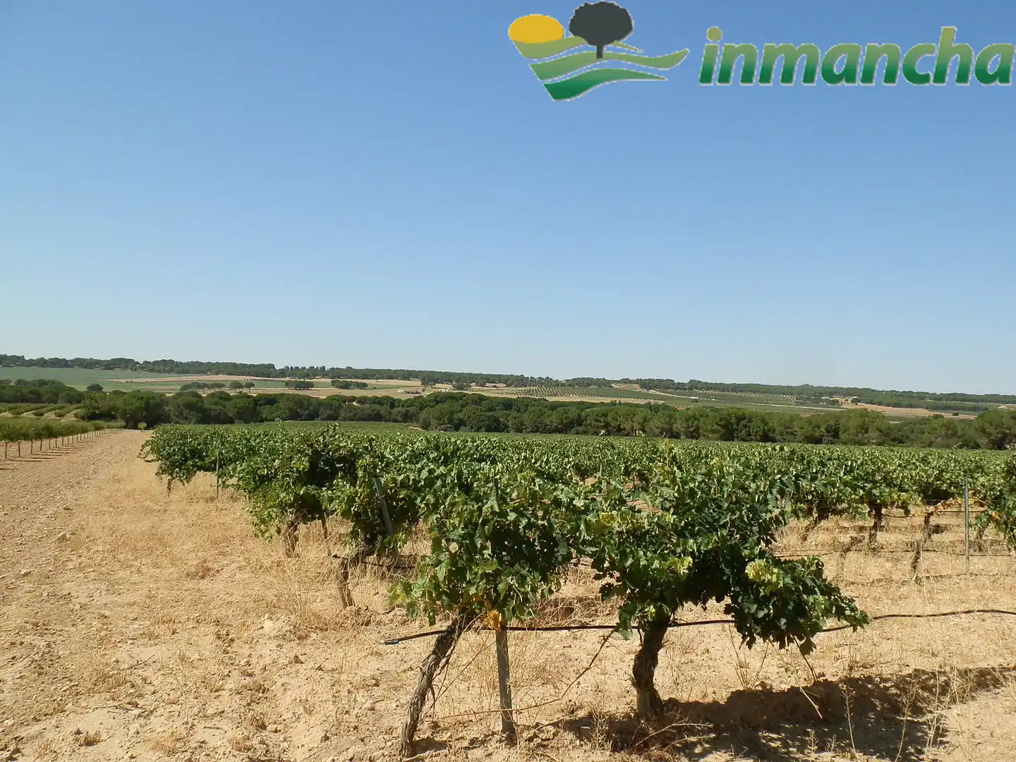 Rural land for sale in La Roda, imagen 18