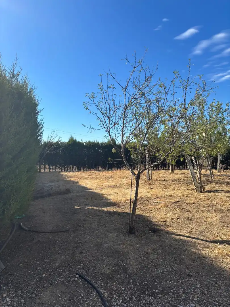 Grundstücke zum Verkauf in Aranjuez