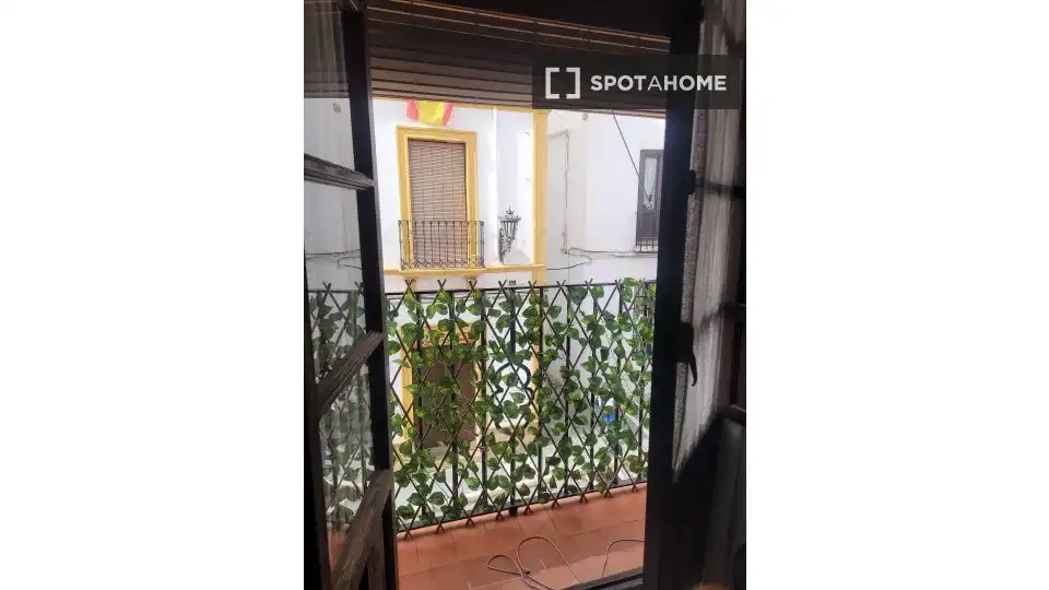 Room in La Ciudad