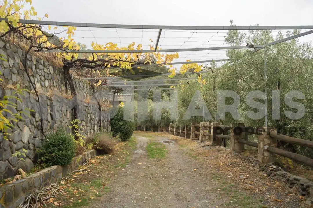 Jardí de Casa o xalet en venda en Abrucena amb Jardí privat, Terrassa i Moblat