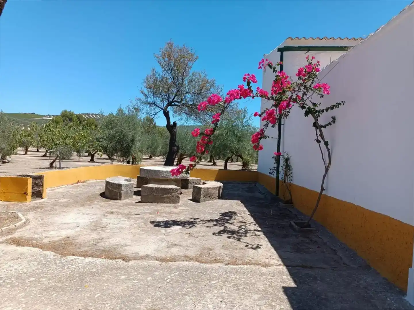 Jardín de Piso en venta en Montilla