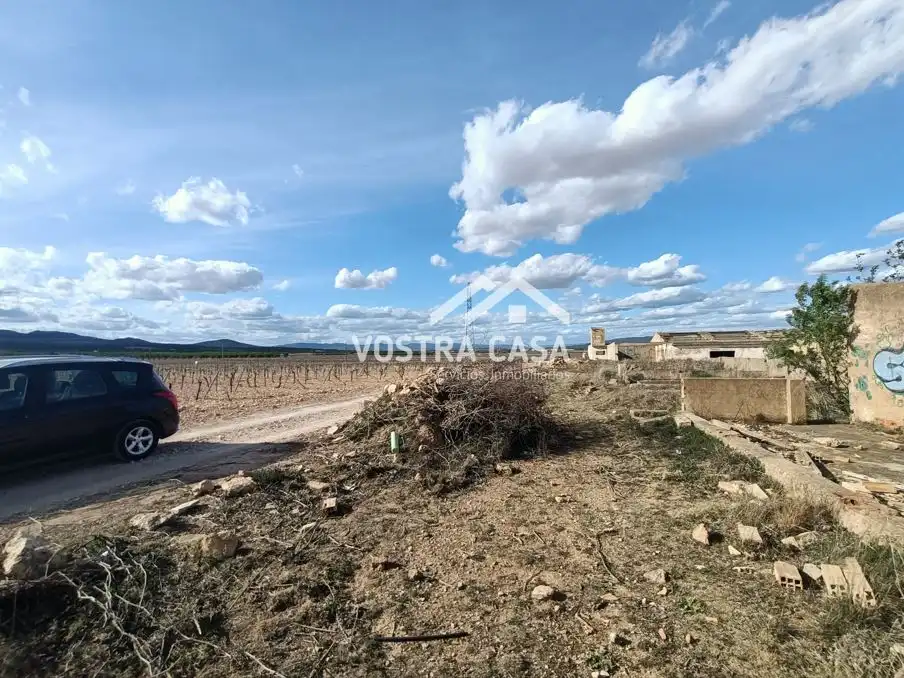 Terreny rústic en venda a PARAJE DE LA CERCA, imagen 5