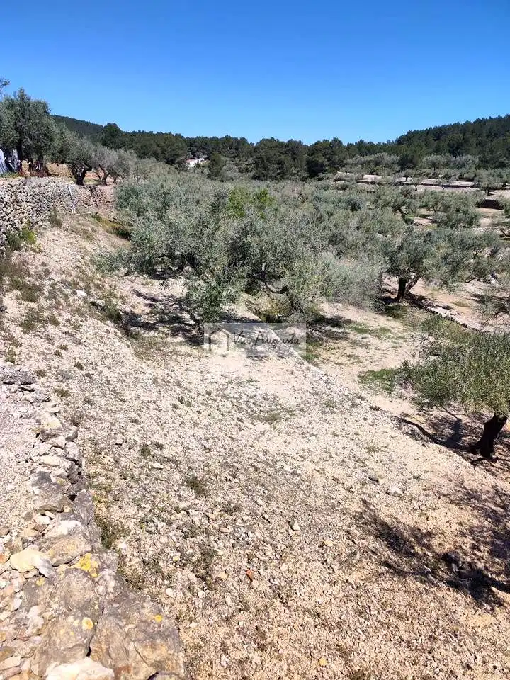 Country homes for sale in Tortosa