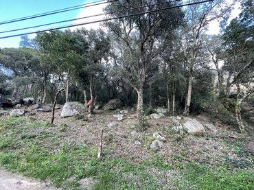 Terreni e lotti in vendita a CAMÍ DEL PI GROS (DEL)
