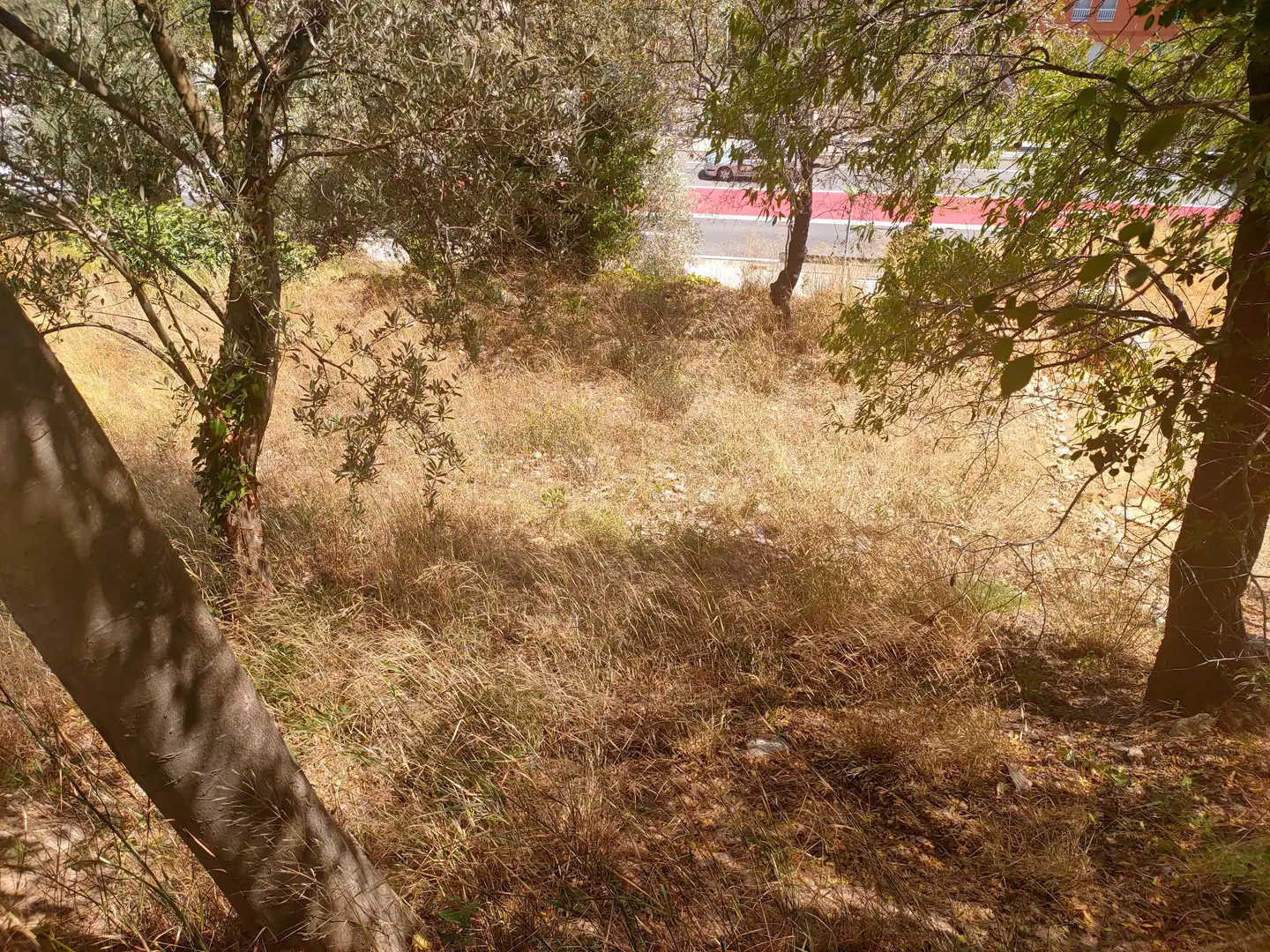 Wohnbaugrundstück zum Verkauf in Carrer Avet, imagen 7