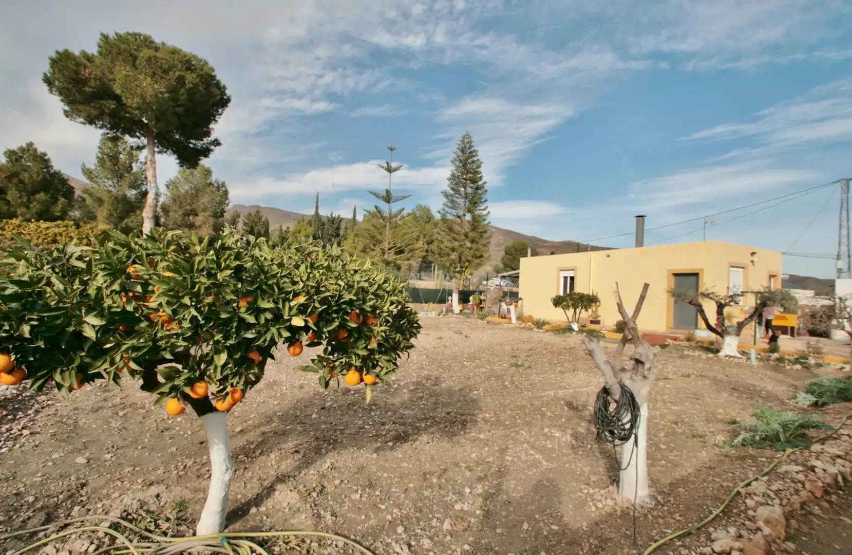 Garden of Houses for sale in Níjar  with Air Conditioner, Private garden and Terrace